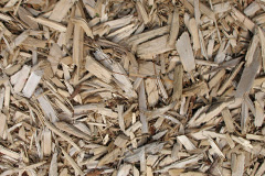 biomass boilers Llanfoist