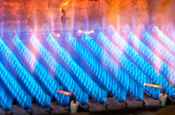 Llanfoist gas fired boilers